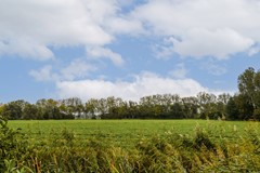 Kaasmaker 12 - 33.jpg